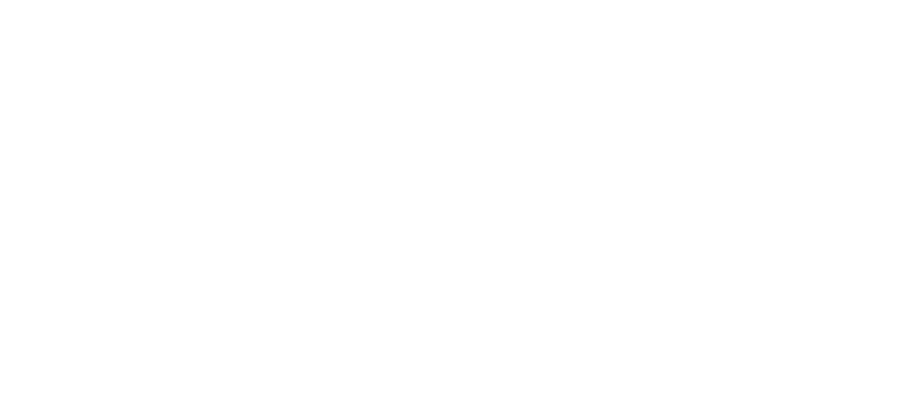 Kite